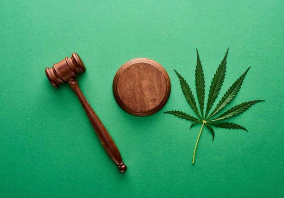 Every-Marijuana-Law-Patients-Need-to-Know-Flmmd