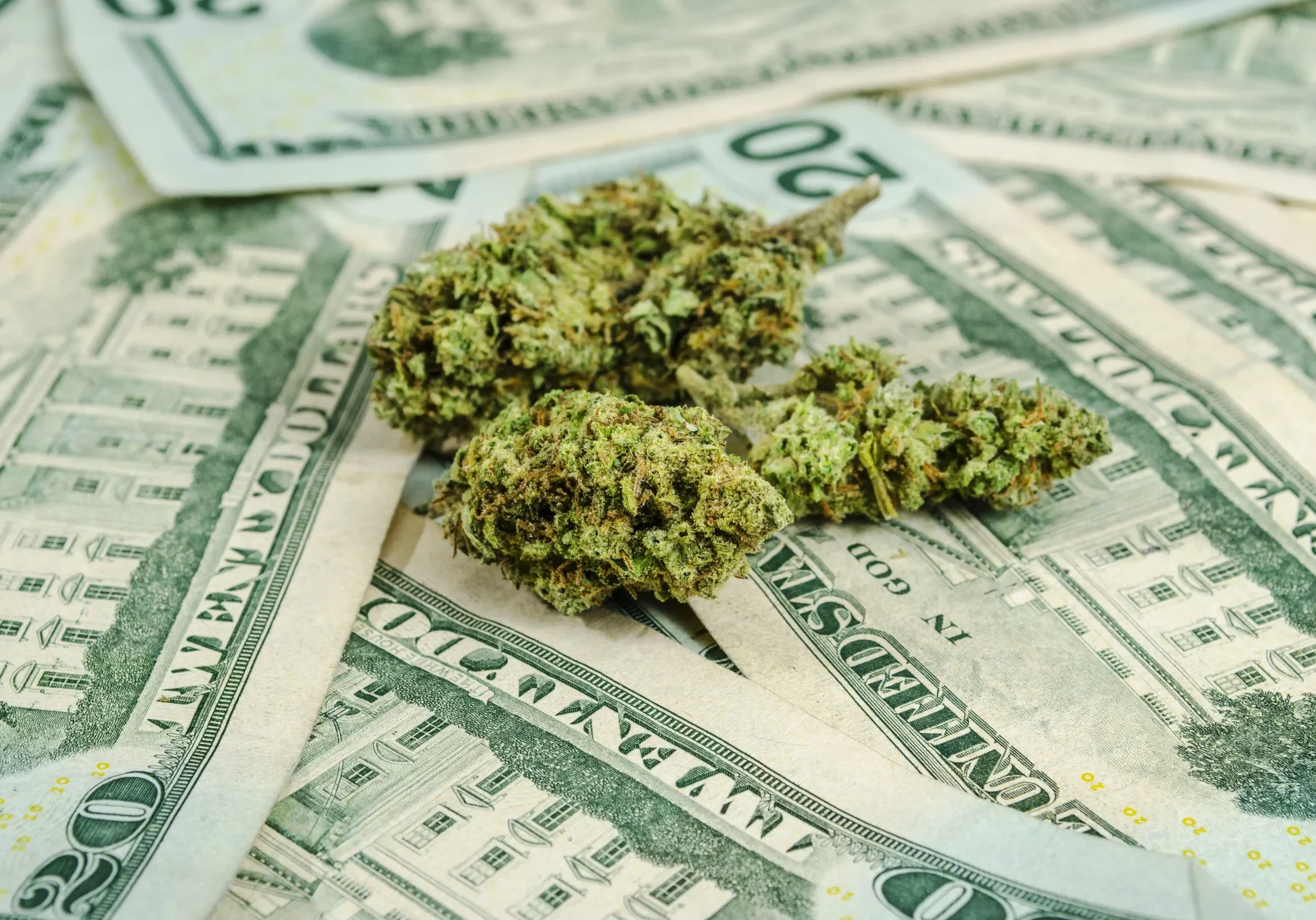 Florida medical marijuana cost